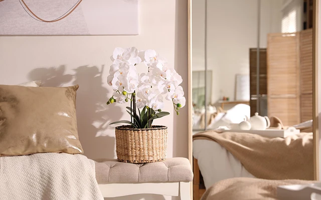one nine one discreet luxury interior design ช่วยเลือกต้นไม้ปลูกในบ้าน