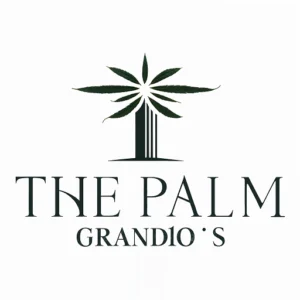 one nine one interior design client the palm grandios