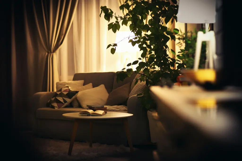 interior design โดยใช้ไฟเพื่อให้มีบรรยากาศตามต้องการ